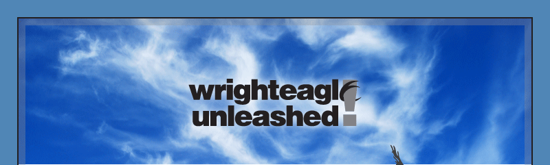WrightEagleUnleashed!