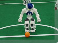 Nao Robot